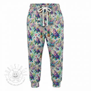 Sweatstoff Pretty unicorns design C digital print