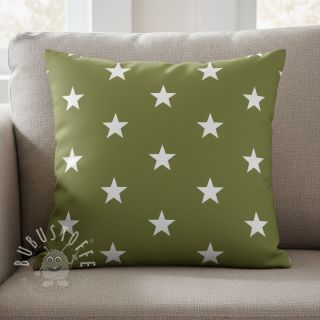 Baumwollstoff Stars green
