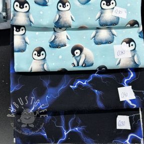 Stoffreste Sommersweat digital print 0360