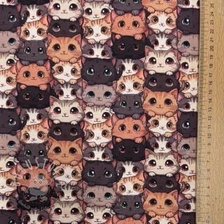 Jersey Cats digital print