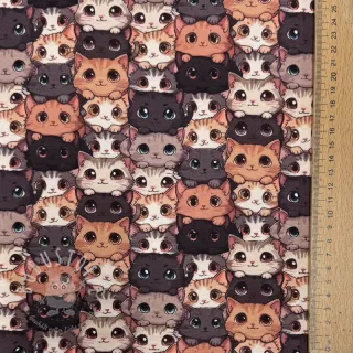 Jersey Cats digital print