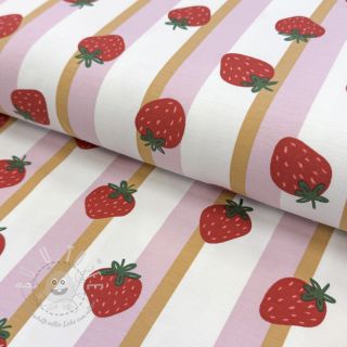 Jersey Fruits Strawberry white
