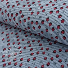 Cord STRETCH Little strawberries old blue