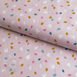 Baumwollstoff Little birds powder