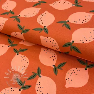 Dekostoff Fruits design F