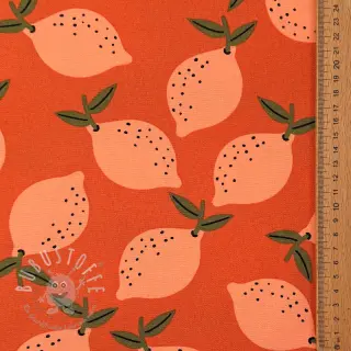 Dekostoff Fruits design F