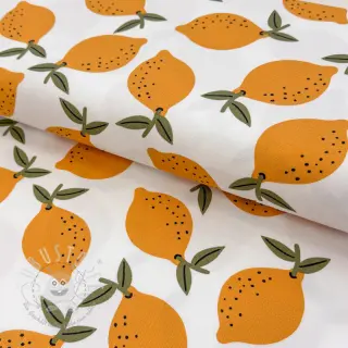 Dekostoff Fruits design E