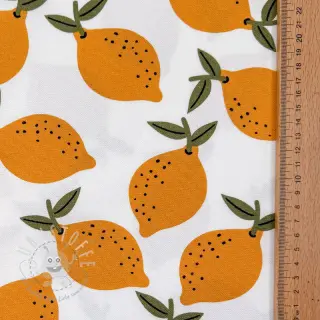 Dekostoff Fruits design E