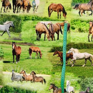 Dekostoff Horses in Meadow digital print