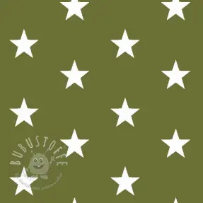 Baumwollstoff Stars green
