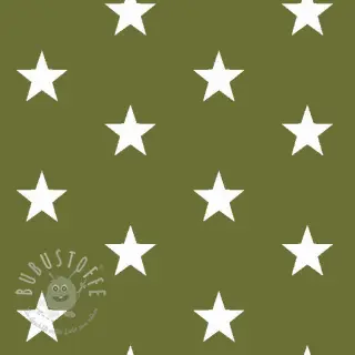 Baumwollstoff Stars green
