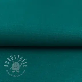 CANVAS dark cyan