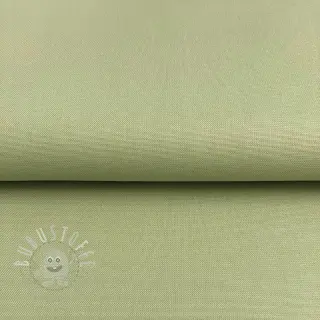 CANVAS dark mint