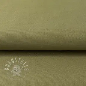 CANVAS olive