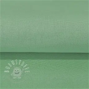 CANVAS mint
