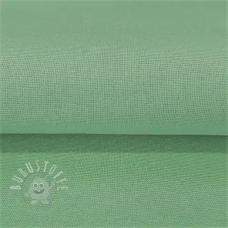 CANVAS mint