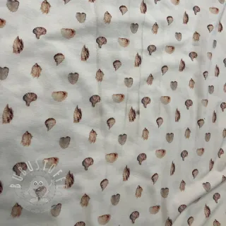 Jersey Baby Seashells digital print 2.Klasse