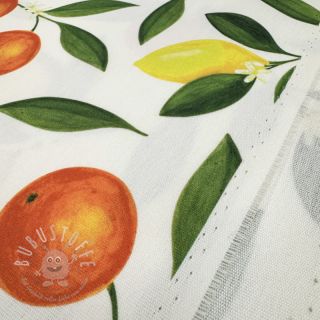 Outdoor Dekostoff mit Teflon-Finish Citrus Fruit