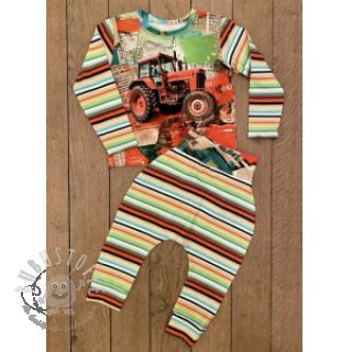 Jersey Great big farm green stripe digital print
