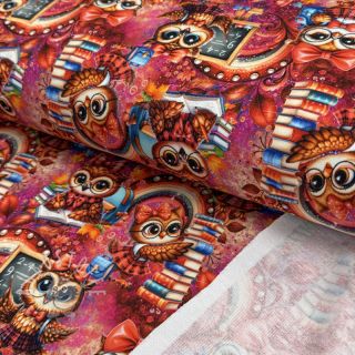 Sweatstoff Big eyes design A digital print