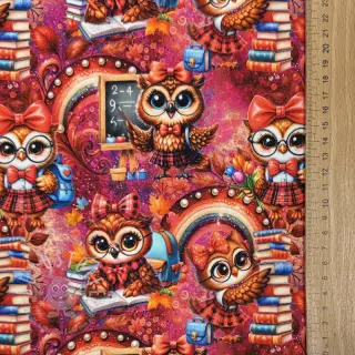 Sweatstoff Big eyes design A digital print